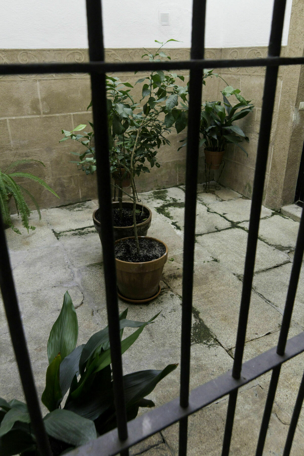 Casa Conde De Santa Olalla Cáceres Exterior foto